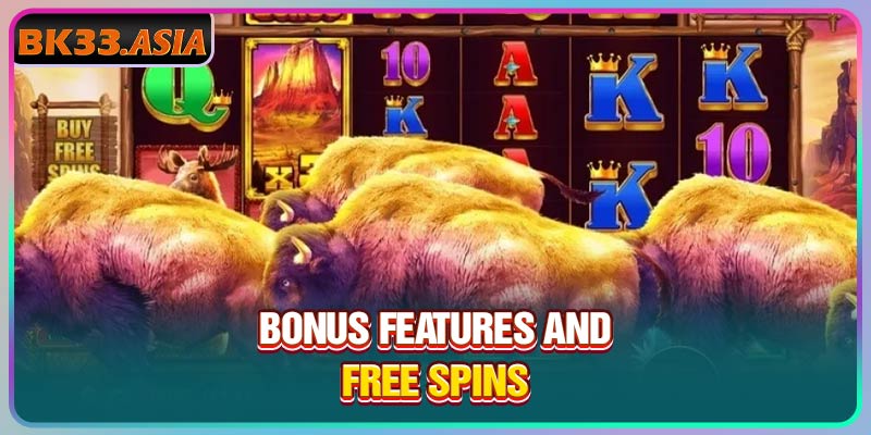 Bonus features and free Spins