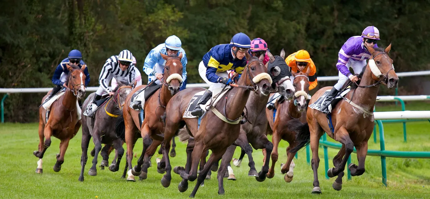 horse racing bk33 sport